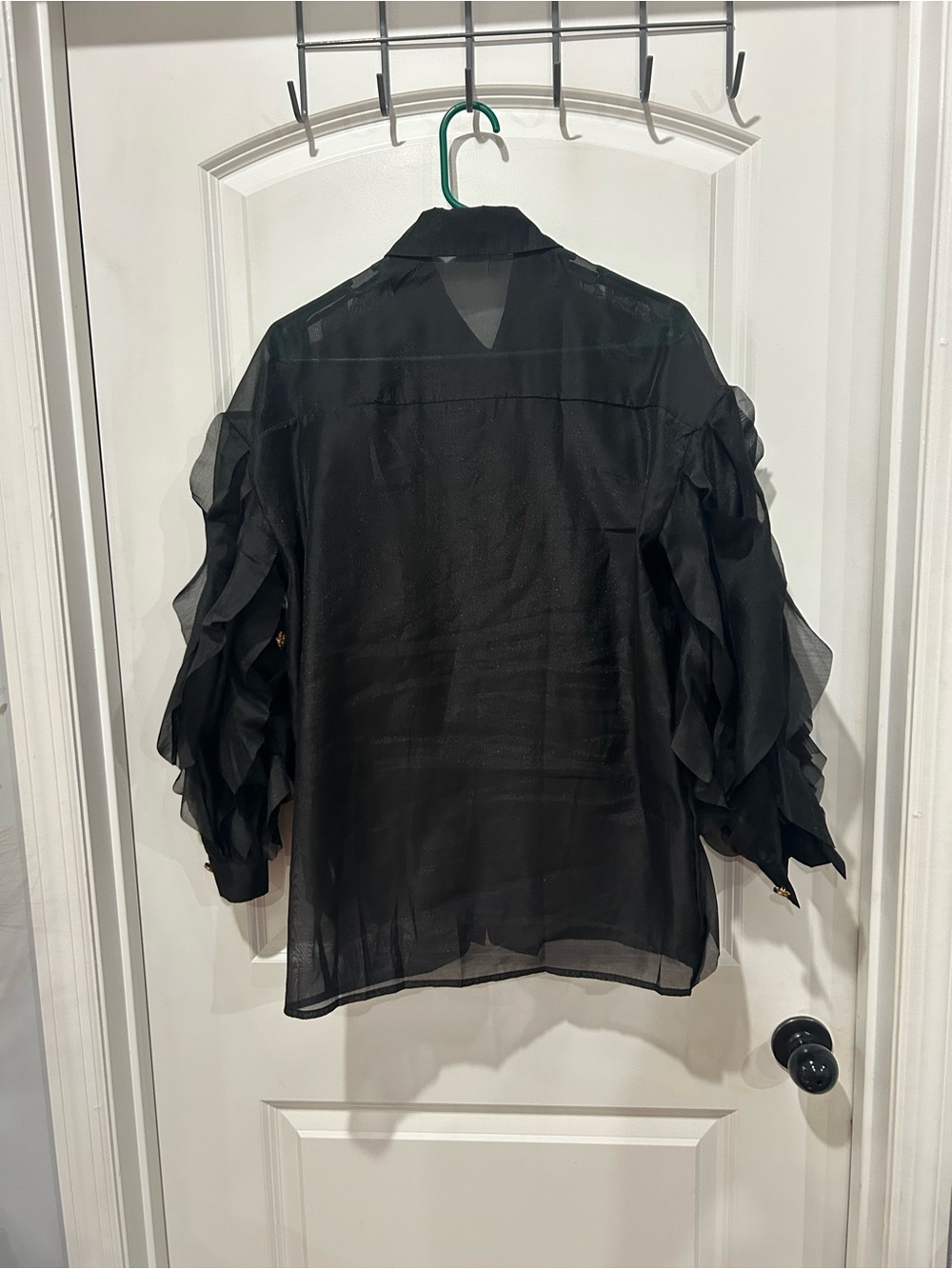 Sheer Black Ruffle Button-Up Blouse - Picture 2 of 3
